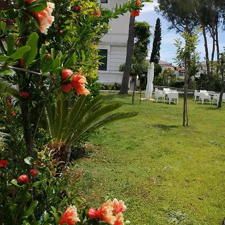 Giordanelli